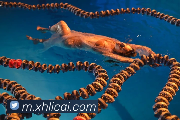 未来规划